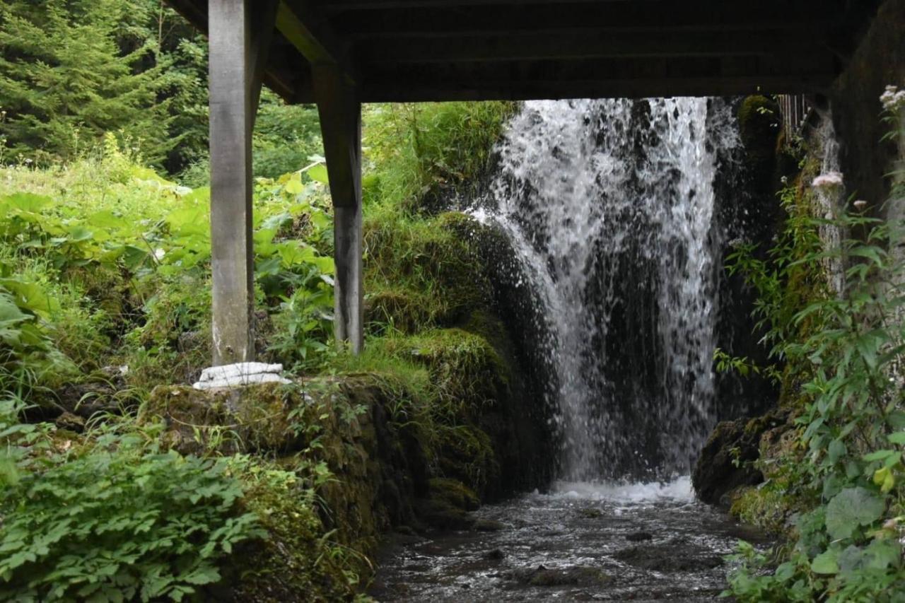 Plitvička JezeraWooden House With A Waterfall "Stipanov Mlin"别墅 外观 照片